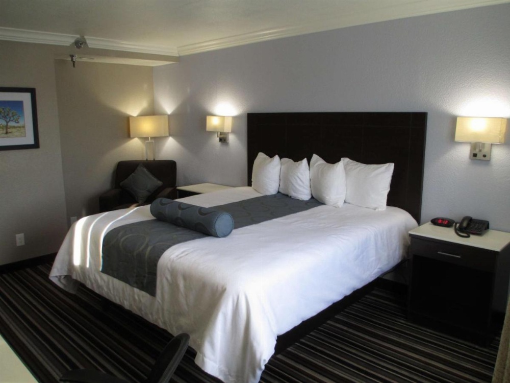 Queen Room with Roll-In Shower - Disability Access/Non-Smoking